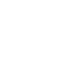 Globe Icon