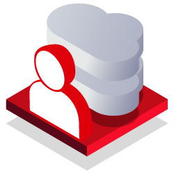 Premium Web Hosting Icon
